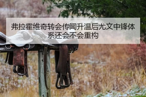 弗拉霍维奇转会传闻升温后尤文中锋体系还会不会重构