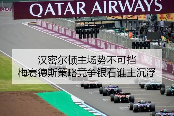 汉密尔顿主场势不可挡 梅赛德斯策略竞争银石谁主沉浮