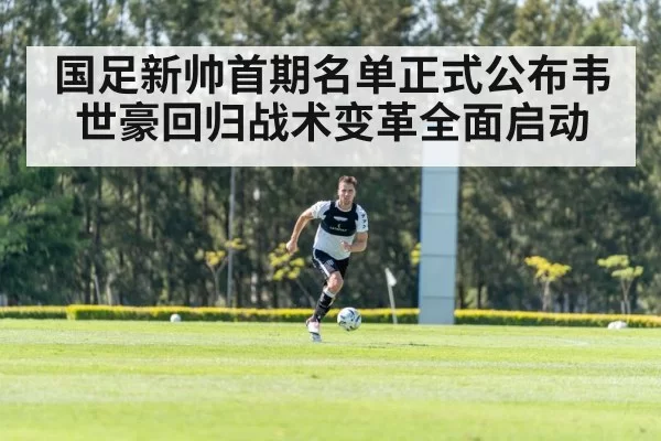 国足新帅首期名单正式公布韦世豪回归战术变革全面启动